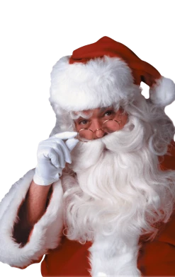 Rubies All Themes Deluxe Santa Wig And Beard Set