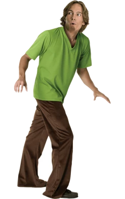Rubies All Themes Adult Shaggy Costume (Scooby-Doo)