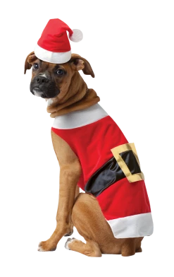 Rasta Imposta Santa Claws Christmas Dog Costume