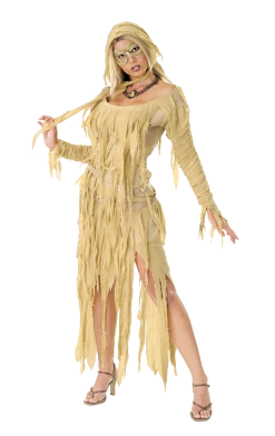 Rubies Halloween Mummy Queen Costume All Themes