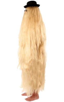 Orion Costumes Adult Hairy Relative Costume All Themes