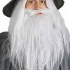 Rubies Adult Gandalf Beard And Wig Set