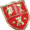 Bristol Novelty All Themes Knight Shield