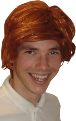 Bristol Novelty Harry Potter Ron Weasley Wig