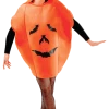 Bristol Novelty All Themes Adult Pumpkin Costume