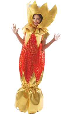 Orion Costumes Adult Christmas Cracker Costume All Themes