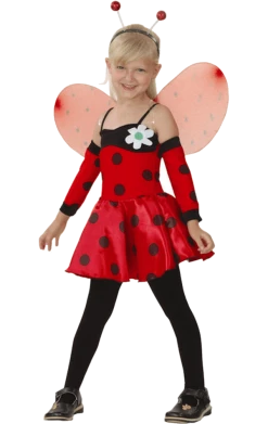 Bristol Novelty All Themes Child Ladybird Costume