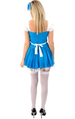 Orion Costumes Adult Storybook Alice In Wonderland Costume Womens Costumes