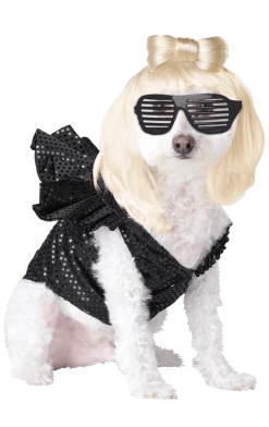 California Costumes Lady Dogga Dog Costume