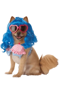 California Costumes California Girl Katy Perry Dog Costume