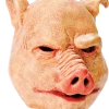 Bristol Novelty Scary Pig Facepiece All Themes