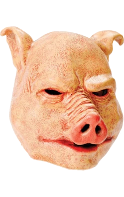 Bristol Novelty Scary Pig Facepiece All Themes