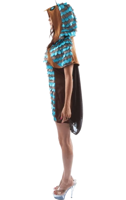 Orion Costumes Womens Costumes Adult Owl Dress Animal Costume