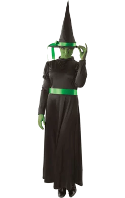 Orion Costumes Adult Wicked Witch Halloween Costume