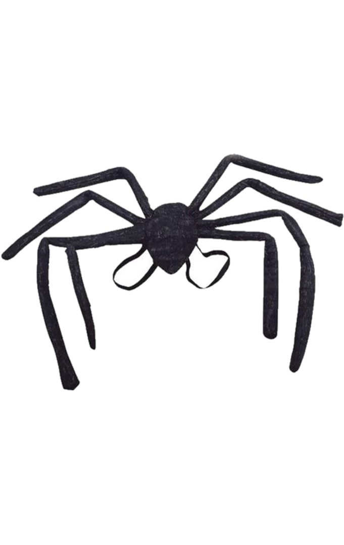 Bristol Novelty All Themes Spider Wings 3 Bristol Novelty All Themes Spider Wings