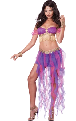 California Costumes Belly Dancer Costume