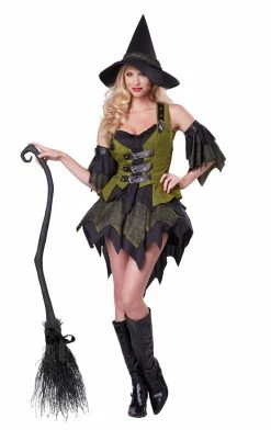 California Costumes All Themes Bewitching Babe Costume