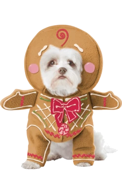 California Costumes Gingerbread Dog Costume