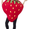 Smiffys Adult Strawberry Costume