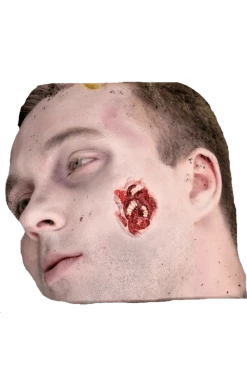 Mask World Maggots Feast Prosthetic Make Up Kit