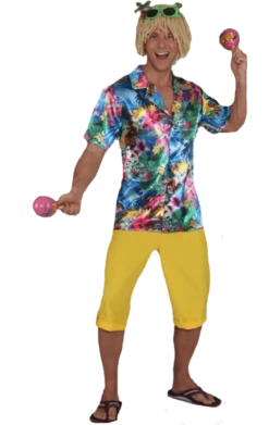 Orlob All Themes Adult Mens Yellow Shorts