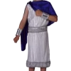 Pams Of Gainsborough Child Classic Caesar Roman Costume All Themes