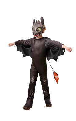 Rubies All Themes Kids Toothless Dragon Costume