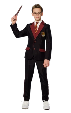 Childrens Harry Potter Suitmeister Costume All Themes