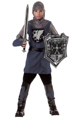 California Costumes Boys Valiant Knight Costume All Themes