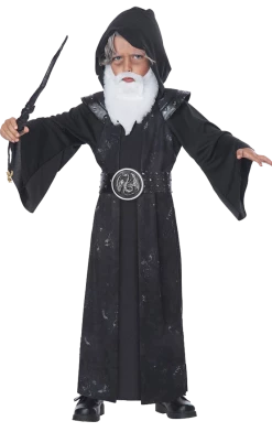 California Costumes Boys Gothic Wizard Costume