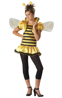 Generic Animals Teenager Honey Bee Costume