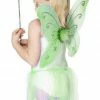 Smiffys Child Green Butterfly Wings And Wand
