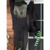 Morris - Fun World Climbing Witch Halloween Accessory Accessories
