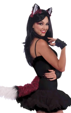 Forum Novelties All Themes Fox Ears And Tail Accessory Set