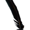 Generic Black Turkey Broad Feather All Themes