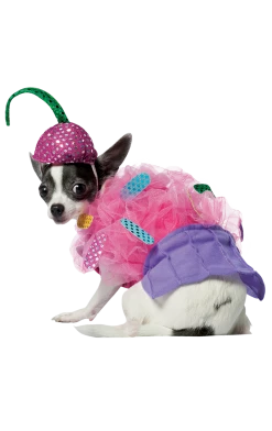 Rasta Imposta Cupcake Dog Costume All Themes