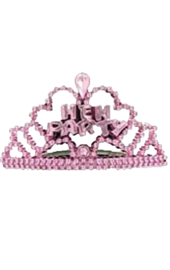 Generic 6 Pink Mini Hen Party Tiaras All Themes