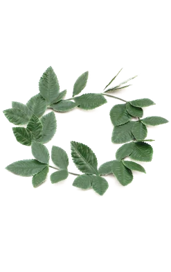 Bristol Novelty Green Roman Wreath