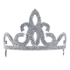 Bristol Novelty Silver Princess Tiara All Themes