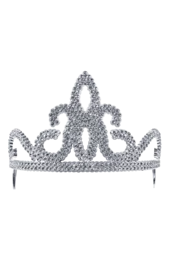Bristol Novelty Silver Princess Tiara All Themes
