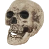 Bristol Novelty All Themes Human Skull Decoration