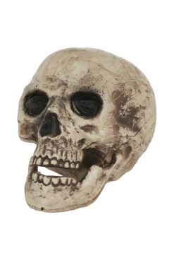 Bristol Novelty All Themes Human Skull Decoration