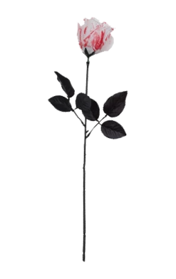 Bristol Novelty Bloody White Rose All Themes