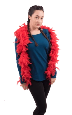 Bristol Novelty All Themes Red Feather Boa Accessory