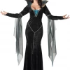 California Costumes Womens Evil Sorceress Costume All Themes