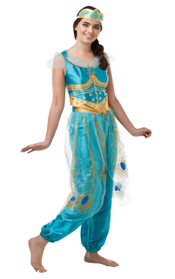 Rubies All Themes Womens Princess Jasmine Costume
