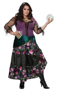 California Costumes Womens Fortune Teller Plus Size Costume