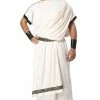 California Costumes Mens Deluxe Classic Toga