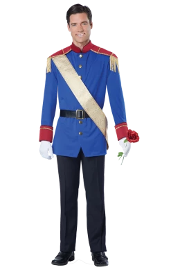 California Costumes All Themes Adult Fairytale Prince Costume