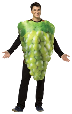 Rasta Imposta Adults Green Grapes Costume All Themes